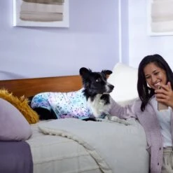 Disney Mickey & Friends Tie Dye Dog & Cat Jersey PJs -Pet Dog Supply Store 311817 PT8. AC SS1800 V1643323767