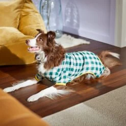 Frisco Boho Gingham Dog & Cat PJs -Pet Dog Supply Store 312272 PT8. AC SS1800 V1644880063