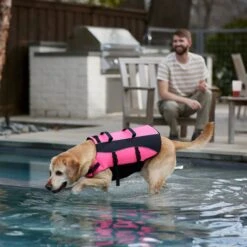 Frisco Ripstop Dog Life Jacket, Pink 19 Frisco Ripstop Dog Life Jacket, Pink -Pet Dog Supply Store 312380 PT8. AC SS1800 V1649275938