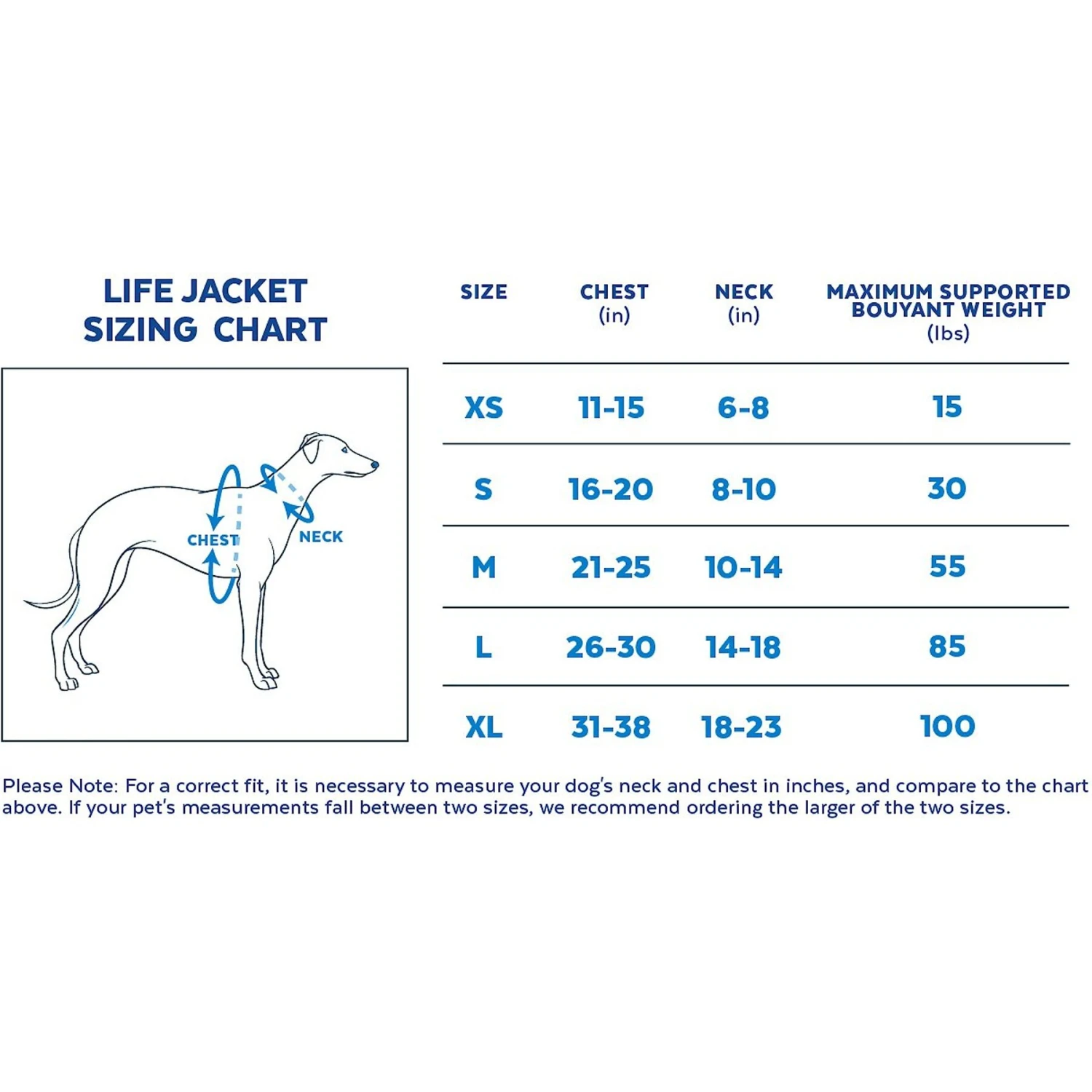 Pixar Finding Nemo & Friends Dog Lifejacket 4 Pixar Finding Nemo & Friends Dog Lifejacket - Image 2