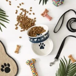 Bone Dry Show Set Dog Bowl -Pet Dog Supply Store 313437 PT6. AC SS1800 V1631778084