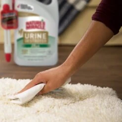 Nature's Miracle Dog Urine Destroyer Plus Enzymatic Formula Stain Remover, 1.3-gal Bottle 15 Nature's Miracle Dog Urine Destroyer Plus Enzymatic Formula Stain Remover, 1.3-gal Bottle -Pet Dog Supply Store 313852 PT6. AC SS1800 V1625874761