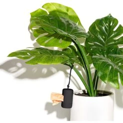 Wild One Dog Poop Bag Carrier 12 Wild One Dog Poop Bag Carrier -Pet Dog Supply Store 314778 PT4. AC SS1800 V1626472285