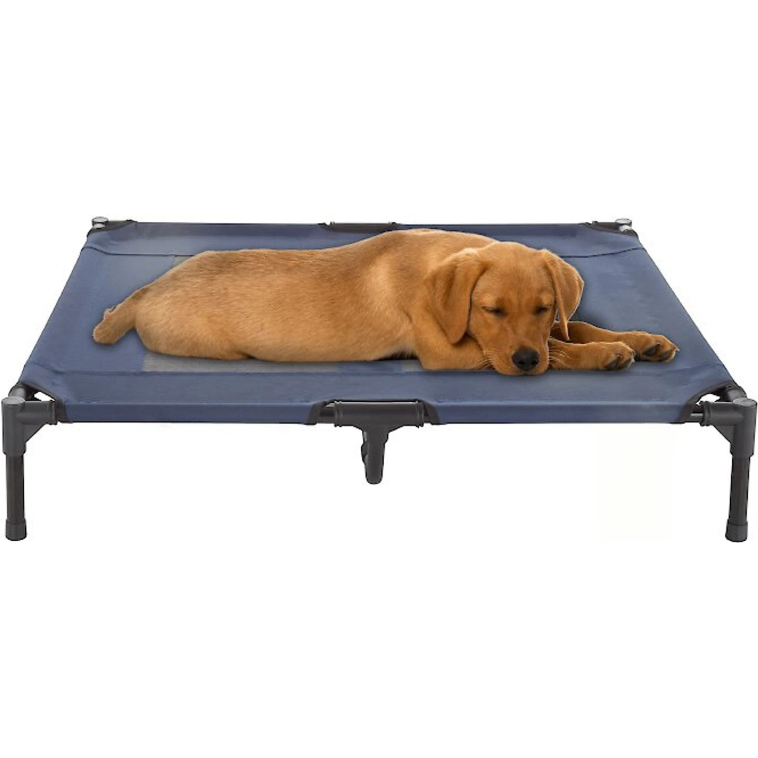 Pet Adobe Steel Frame Elevated Dog Bed 3 Pet Adobe Steel Frame Elevated Dog Bed