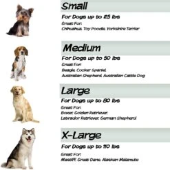 Pet Adobe Steel Frame Elevated Dog Bed 14 Pet Adobe Steel Frame Elevated Dog Bed -Pet Dog Supply Store 314921 PT4. AC SS1800 V1626397320