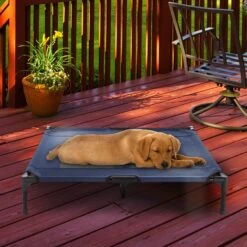 Pet Adobe Steel Frame Elevated Dog Bed 15 Pet Adobe Steel Frame Elevated Dog Bed -Pet Dog Supply Store 314921 PT5. AC SS1800 V1626393704