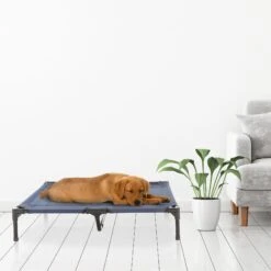 Pet Adobe Steel Frame Elevated Dog Bed 16 Pet Adobe Steel Frame Elevated Dog Bed -Pet Dog Supply Store 314921 PT6. AC SS1800 V1626386800
