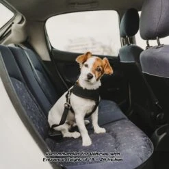 Pet Adobe Folding Dog & Cat Steps -Pet Dog Supply Store 314931 PT4. AC SS1800 V1626398830