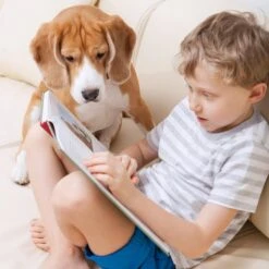 Pet Adobe Carpeted Folding Dog & Cat Steps -Pet Dog Supply Store 314936 PT4. AC SS1800 V1626397907