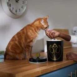 STAR WARS Melamine Dog & Cat Treat Jar -Pet Dog Supply Store 315276 PT3. AC SS1800 V1647281986