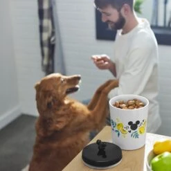 Disney Mickey Mouse Lemon Melamine Dog & Cat Treat Jar -Pet Dog Supply Store 315302 PT2. AC SS1800 V1647282011