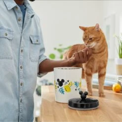 Disney Mickey Mouse Lemon Melamine Dog & Cat Treat Jar -Pet Dog Supply Store 315302 PT3. AC SS1800 V1647283698