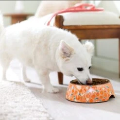 Disney Mickey Mouse Orange Bamboo Melamine Stainless Steel Dog & Cat Bowl -Pet Dog Supply Store 315346 PT2. AC SS1800 V1647283263