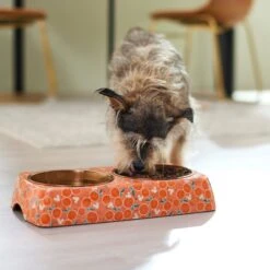 Disney Mickey Mouse Orange Bamboo Melamine Stainless Steel Double Dog & Cat Bowl -Pet Dog Supply Store 315350 PT2. AC SS1800 V1647281698