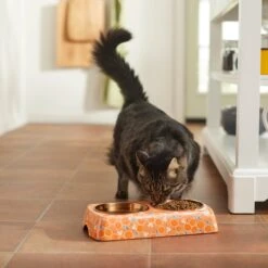 Disney Mickey Mouse Orange Bamboo Melamine Stainless Steel Double Dog & Cat Bowl -Pet Dog Supply Store 315350 PT3. AC SS1800 V1647282204