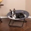 K&H Pet Products Cozy Cot Elevated Dog Bed -Pet Dog Supply Store 316703 MAIN. AC SS1800 V1696351195