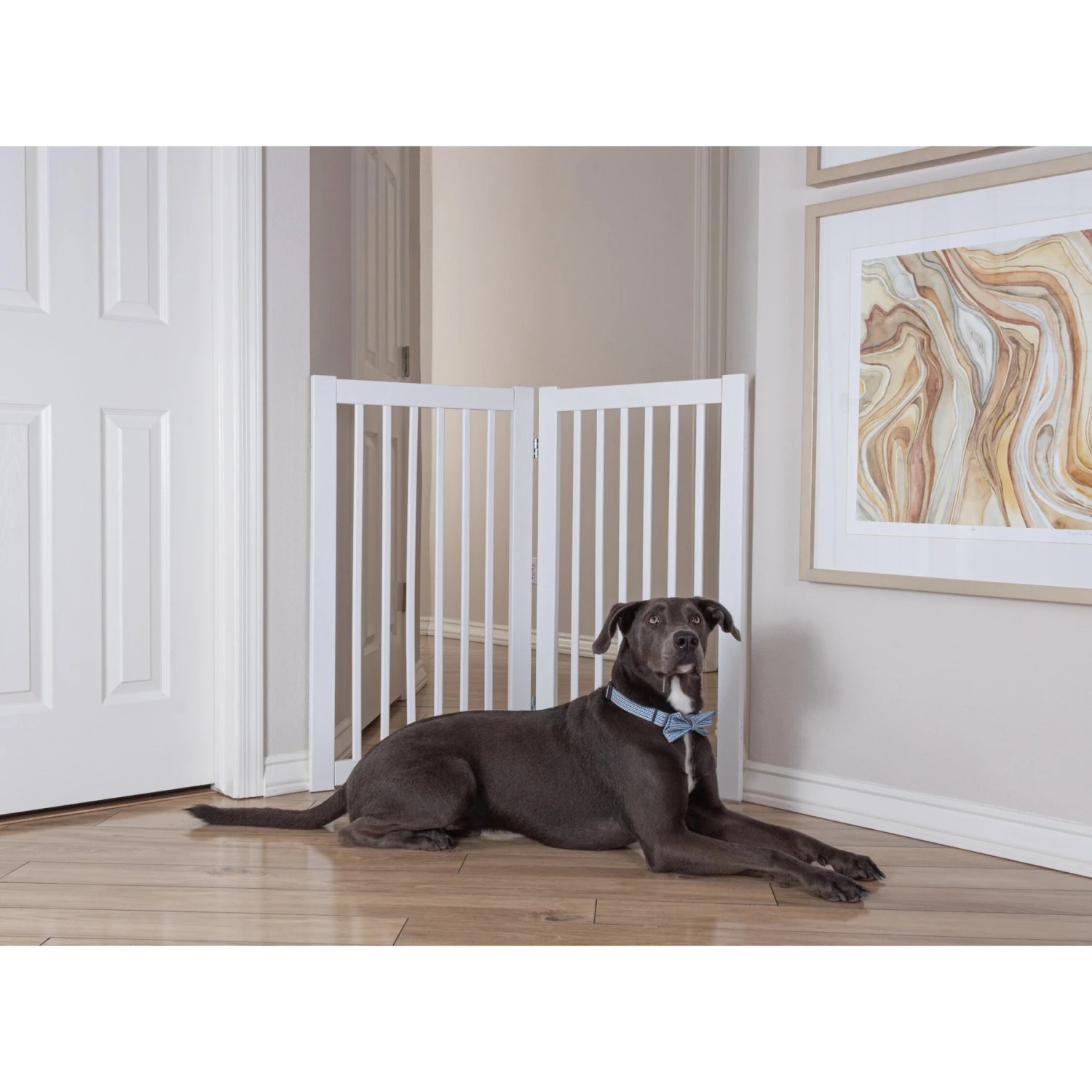 Primetime Petz 360 Configurable Gate Extension Kit, White 7 Primetime Petz 360 Configurable Gate Extension Kit, White - Image 5