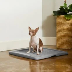 Frisco Training Pad Holder & Frisco Premium Dog Training & Potty Pads -Pet Dog Supply Store 319526 PT4. AC SS1800 V1630624305