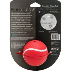 Playology Scented Squeaky Chew Ball Dog Toy & Playology Scented Squeaky Chew Ball Dog Toy -Pet Dog Supply Store 319558 PT2. AC SS1800 V1630629125