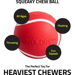 Playology Scented Squeaky Chew Ball Dog Toy & Playology Scented Squeaky Chew Ball Dog Toy -Pet Dog Supply Store 319558 PT3. AC SS1800 V1630624279