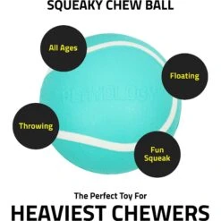 Playology Scented Squeaky Chew Ball Dog Toy & Playology Scented Squeaky Chew Ball Dog Toy -Pet Dog Supply Store 319558 PT7. AC SS1800 V1630620091