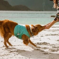 Hurtta Cooling Dog Wrap -Pet Dog Supply Store 320021 PT3. AC SS1800 V1634838677