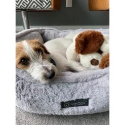 Nandog Cloud Collection Cat & Dog Bed -Pet Dog Supply Store 321768 PT5. AC SS1800 V1677171349