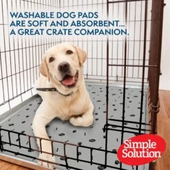 Simple Solution Washable Dog Pee Pads, 34x36-in, 2 Count -Pet Dog Supply Store 326823 PT2. AC SS1800 V1649482336
