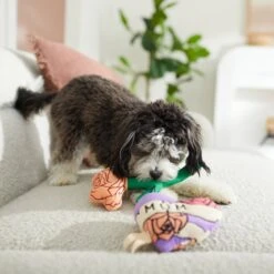 Frisco Mother's Day Rose & Heart Plush Squeaky Dog Toy, 2 Count -Pet Dog Supply Store 327033 PT3. AC SS1800 V1646947953