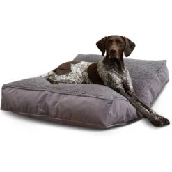 Happy Hounds Bailey Removable Cover Rectangle Pillow Dog Bed, Gray -Pet Dog Supply Store 328578 PT3. AC SS1800 V1698936677