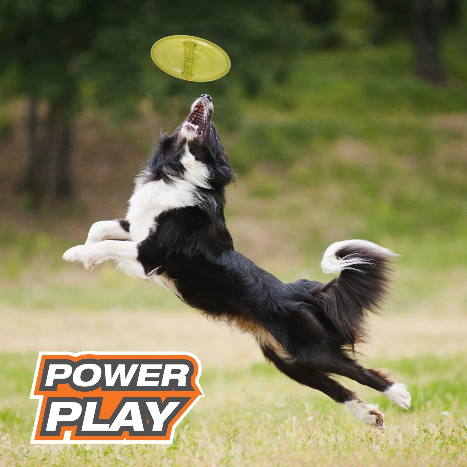 Nylabone Power Play Ultra Glider Gripz Flying Disc Dog Toy 4 Nylabone Power Play Ultra Glider Gripz Flying Disc Dog Toy - Image 2