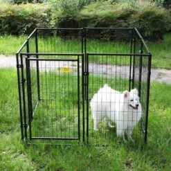 Coziwow By Jaxpety 47-in Metal Outdoor Dog Kennel Playpen, Black, 4.9 X 4.9 X 3.9 -ft -Pet Dog Supply Store 330941 PT8. AC SS1800 V1668901549