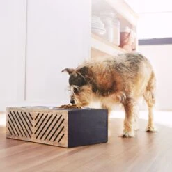 Frisco Premium Wood Elevated Stainless Steel Double Diner Dog & Cat Bowl, Black, 3 Cup -Pet Dog Supply Store 331509 PT2. AC SS1800 V1657656894