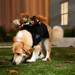Disney Hocus Pocus Ride-On Sanderson Sisters Dog & Cat Costume -Pet Dog Supply Store 334711 PT8. AC SS1800 V1660069162