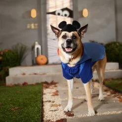 Disney Mickey Mouse Vampire Dog & Cat Costume 13 Disney Mickey Mouse Vampire Dog & Cat Costume -Pet Dog Supply Store 334733 PT8. AC SS1800 V1657656877