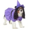Disney Minnie Mouse Witch Dog & Cat Costume -Pet Dog Supply Store 334755 MAIN. AC SS1800 V1657656878