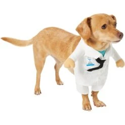 Frisco Front Walking Doctor Dog & Cat Costume -Pet Dog Supply Store 334900 PT3. AC SS1800 V1658344549