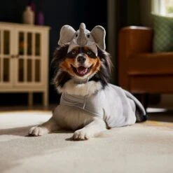 Frisco Elephant Dog & Cat Costume 14 Frisco Elephant Dog & Cat Costume -Pet Dog Supply Store 334915 PT7. AC SS1800 V1657718739