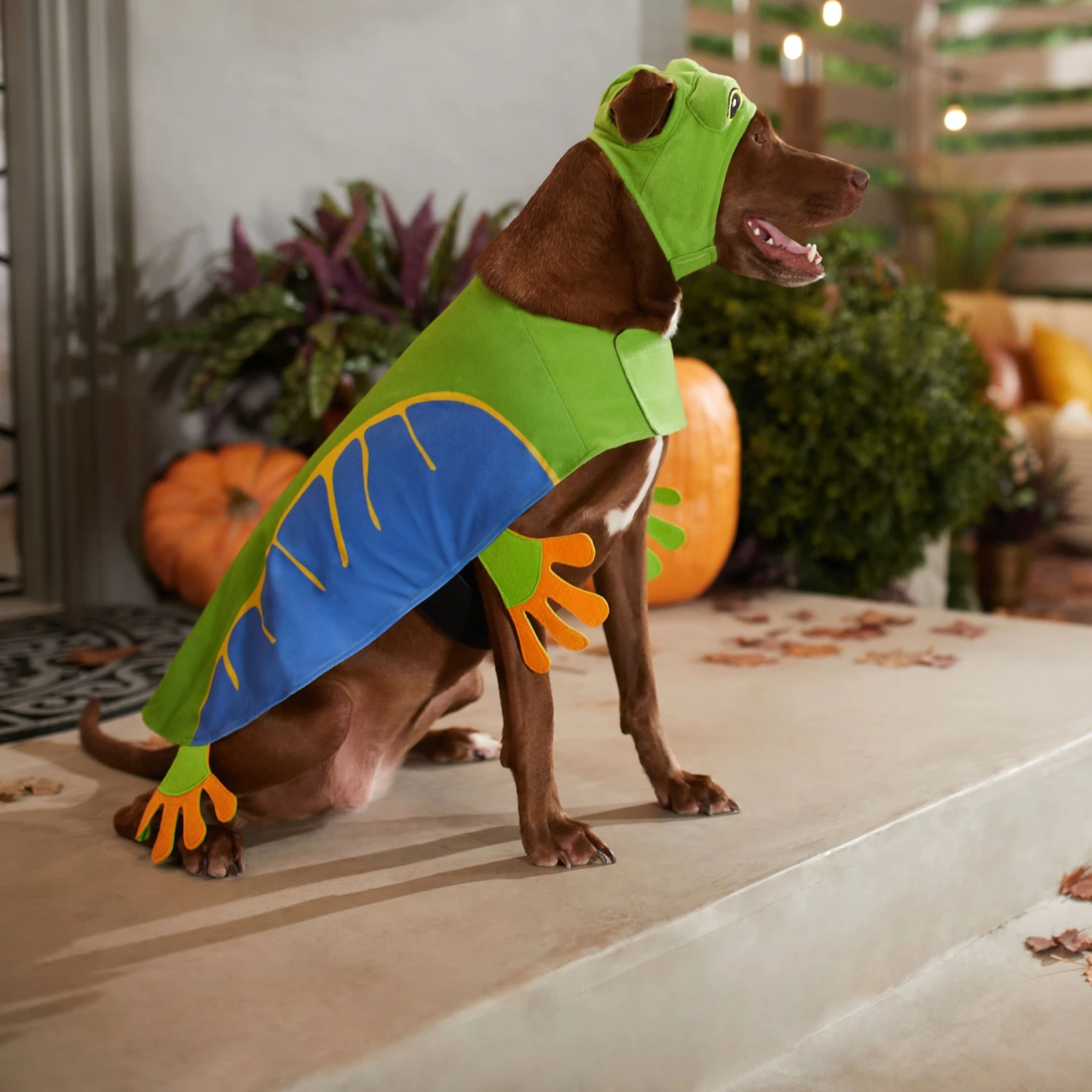 Frisco Frog Dog & Cat Costume 8 Frisco Frog Dog & Cat Costume - Image 6