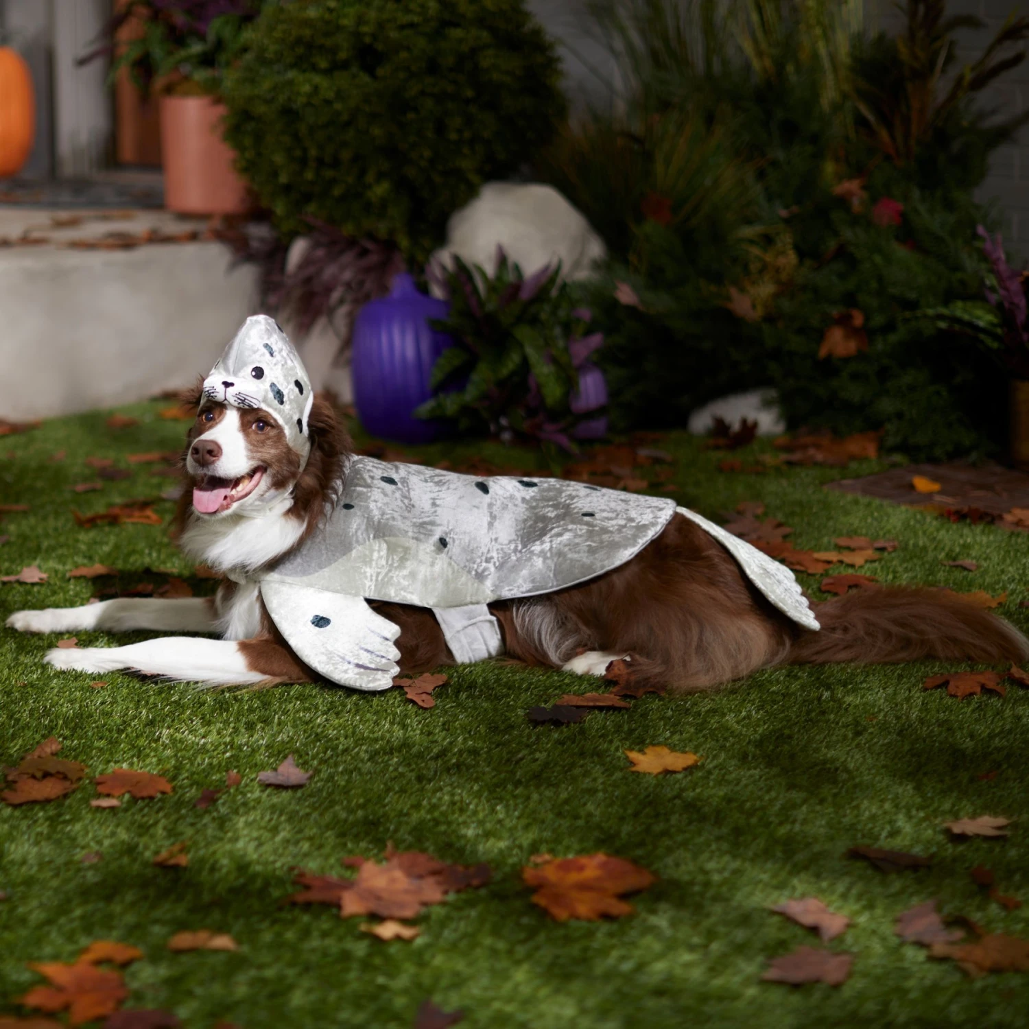 Frisco Seal Dog & Cat Costume 8 Frisco Seal Dog & Cat Costume - Image 6