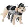 Frisco Spider Dog & Cat Costume 1 Frisco Spider Dog & Cat Costume -Pet Dog Supply Store 335017 MAIN. AC SS1800 V1658718137