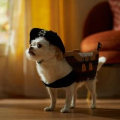 Frisco Pirate Ship Dog & Cat Costume -Pet Dog Supply Store 335078 PT7. AC SS1800 V1657656881