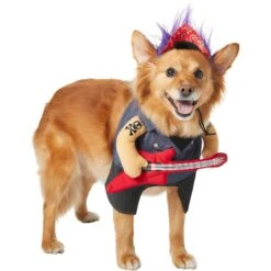 Frisco Front Walking Punk Rocker Dog & Cat Costume -Pet Dog Supply Store 335087 PT3. AC SS1800 V1658346323