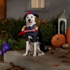 Frisco Front Walking Punk Rocker Dog & Cat Costume -Pet Dog Supply Store 335087 PT7. AC SS1800 V1657732627