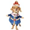 Frisco Front Walking Royal King Dog & Cat Costume -Pet Dog Supply Store 335127 MAIN. AC SS1800 V1658342828