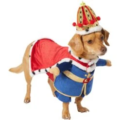 Frisco Front Walking Royal King Dog & Cat Costume -Pet Dog Supply Store 335127 PT3. AC SS1800 V1658346228