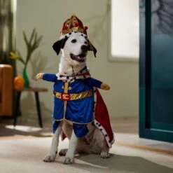 Frisco Front Walking Royal King Dog & Cat Costume -Pet Dog Supply Store 335127 PT7. AC SS1800 V1659037728