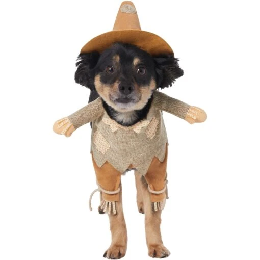 Frisco Front Walking Scarecrow Dog & Cat Costume -Pet Dog Supply Store 335135 MAIN. AC SS1800 V1658349298