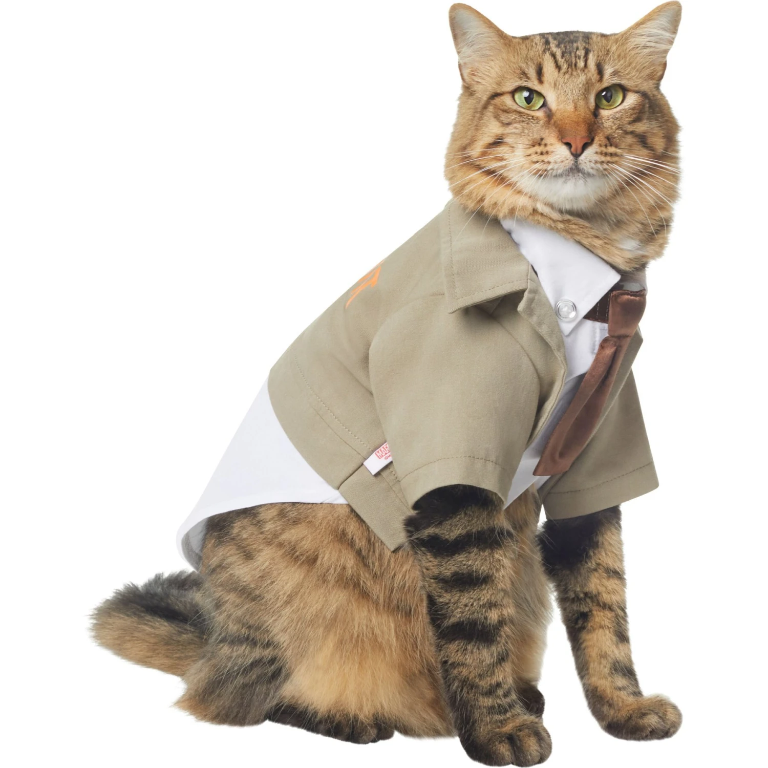 Marvel 's Loki Varient Lightweight Dog & Cat Jacket 5 Marvel 's Loki Varient Lightweight Dog & Cat Jacket - Image 3