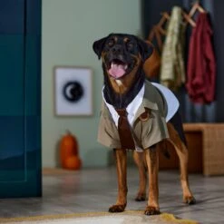 Marvel 's Loki Varient Lightweight Dog & Cat Jacket 13 Marvel 's Loki Varient Lightweight Dog & Cat Jacket -Pet Dog Supply Store 335269 PT8. AC SS1800 V1657656950